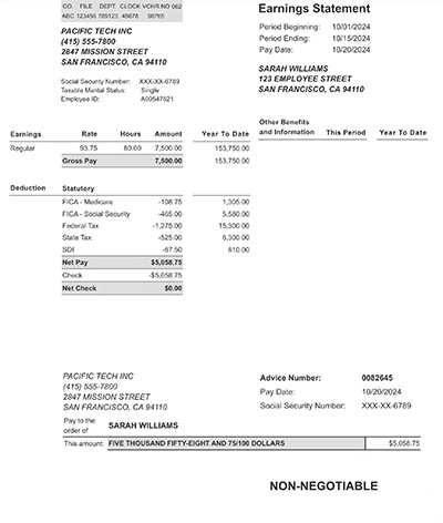Professional Paystub Example