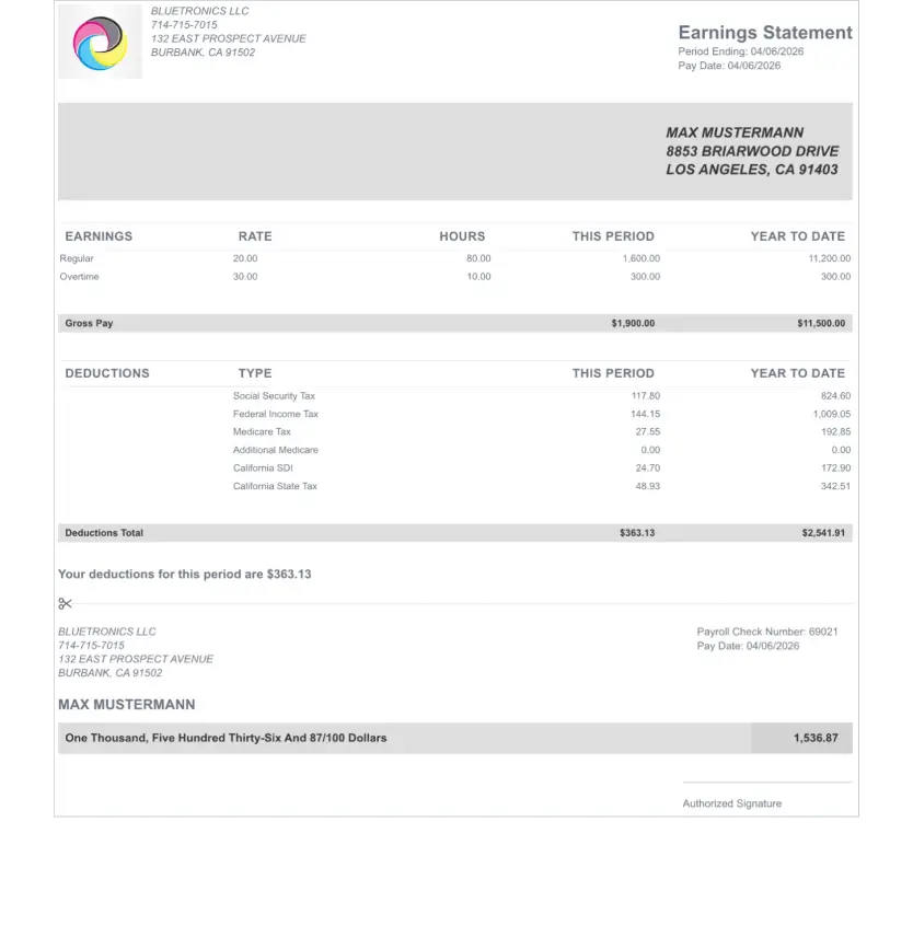 Executive gray paystub template design preview