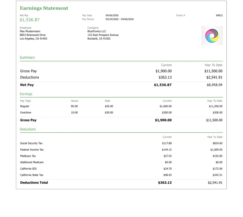 Standard business sample paystub design preview